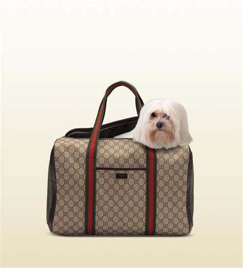 gucci dog carrier backpack|designer dog carrier bags.